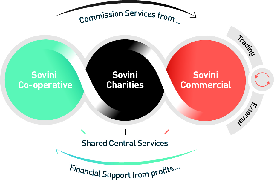 SOVINI-Structure-diagram-2018-fit-to-artboard